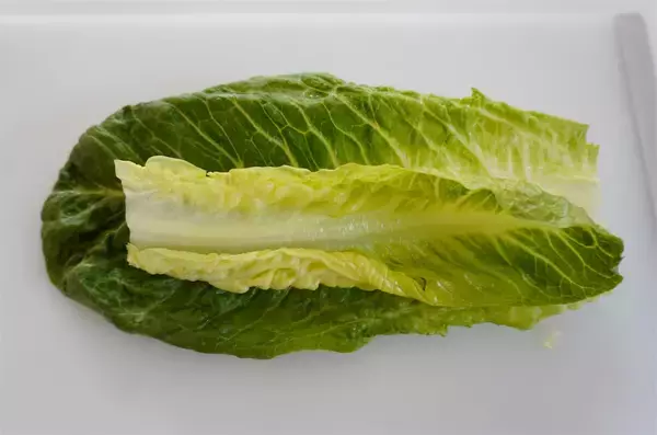 「【旬のロメインレタス】をサラダじゃなくて「肉巻き」にしてみた！加熱で風味と甘味が開花♪【農家直伝】」の画像