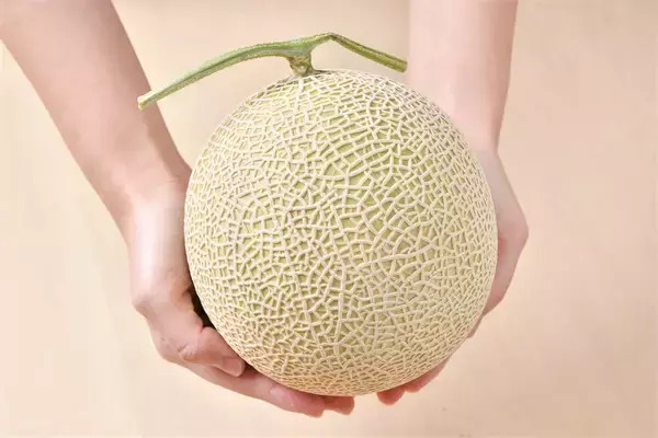 「【青髪のテツ】高級だからこそコダワリたい！「マスクメロンの選び方」網目は細かい方がいい？粗い方がいい？」の画像