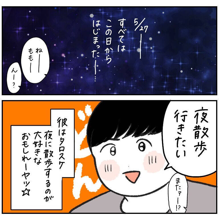 【ヤバい虫の悪夢①】楽しい夜散歩が一変！サンダル履きの足元を襲った「まさかの異変」とは【momoの漫画】