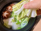 「【白菜の冷凍】凍ったまま調理可！歯切れの良し悪しが如実に出るので注意！オススメは細切り冷凍です」の画像1