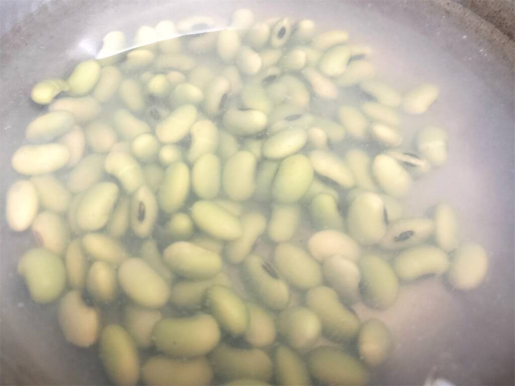 【絶品！郷土メシ】青森県の郷土菓子「豆しとぎ」って!?青大豆の緑が鮮やか♡焼くと香ばしい〜