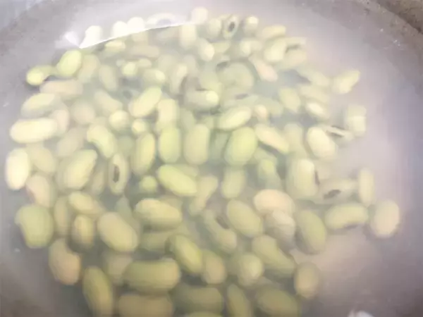 「【絶品！郷土メシ】青森県の郷土菓子「豆しとぎ」って!?青大豆の緑が鮮やか♡焼くと香ばしい〜」の画像