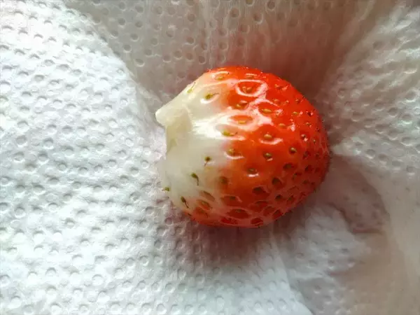 「【お祭り屋台のフルーツ飴♪完コピしてみた】表面パリッ…からの中ジューシ～♡失敗しない飴掛けテクも詳しく解説」の画像