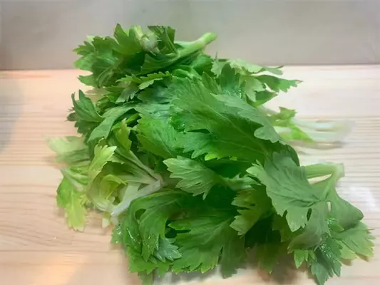 捨てないで セロリの葉 でジェノベーゼ風 万能ペーストを作ってみた 肉 魚 カレーに合う合う 22年5月6日 エキサイトニュース