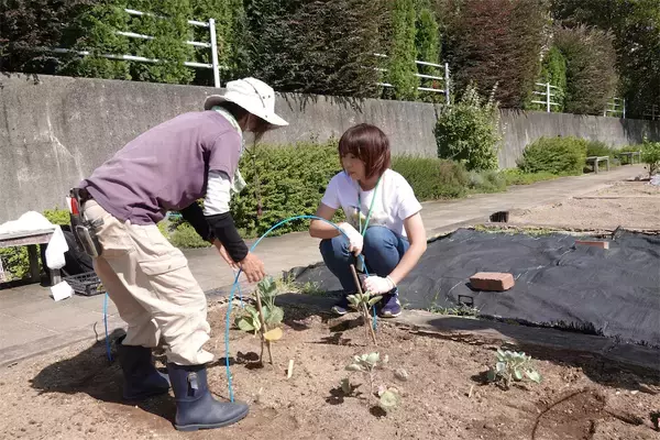 「【にちにち農ガール】シーズン2‼秋冬野菜作りスタート！秋冬野菜の苗植え＆防虫カバーにトライです♪」の画像