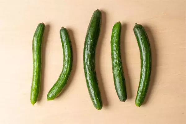「【野菜クイズ】スーパーのきゅうり…鮮度はどこで見分ける？「トゲ」「ヘタ」「先端の花」【きゅうり農家直伝】」の画像
