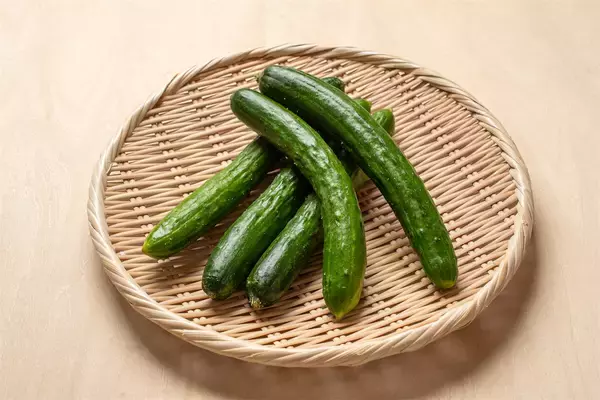 「【野菜クイズ】スーパーのきゅうり…鮮度はどこで見分ける？「トゲ」「ヘタ」「先端の花」【きゅうり農家直伝】」の画像