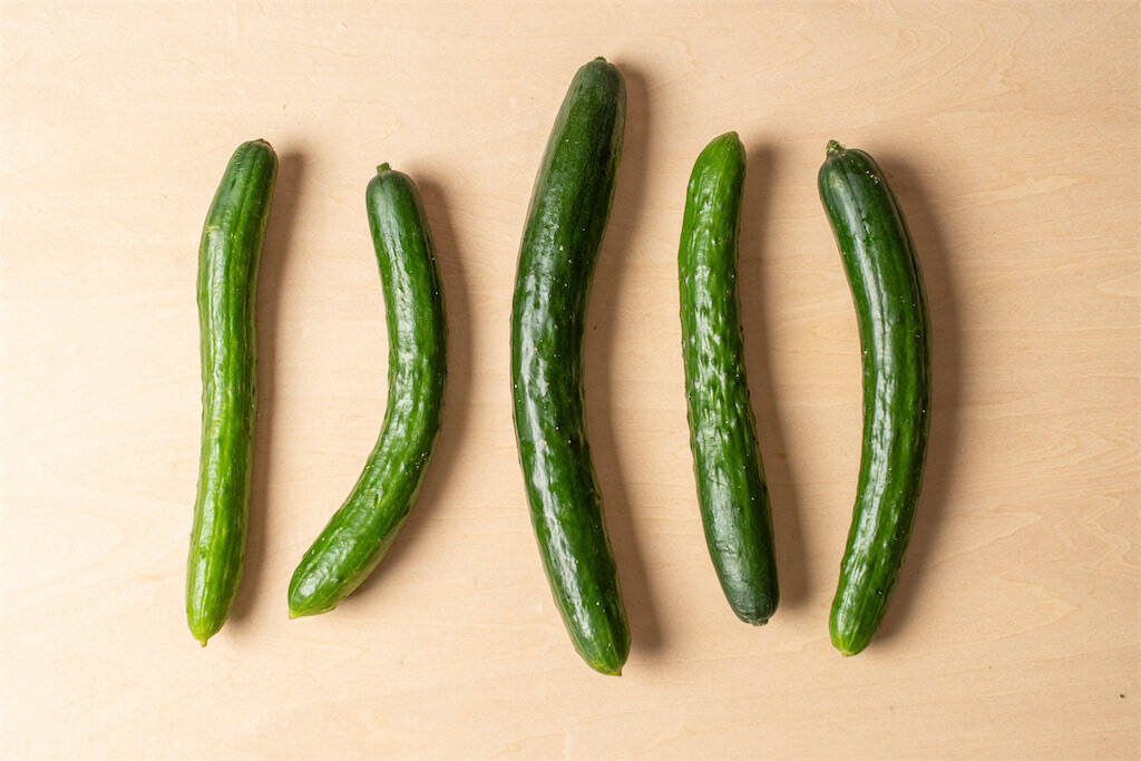 【野菜クイズ】スーパーのきゅうり…鮮度はどこで見分ける？「トゲ」「ヘタ」「先端の花」【きゅうり農家直伝】