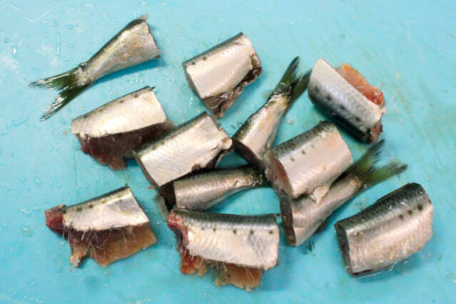 【ズボラでも作れる魚料理】頭とワタ取るだけ「イワシと根菜の梅しょうゆ煮」作ってみた！小骨ごとイケる♪