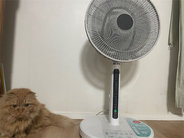 【ダイキン公式】夏のエアコン「節電メソッド」試してみた！オールド家電で“体感温度を下げる”工夫とは？
