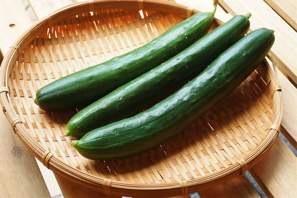 【90年前のおかず再現】普通の酢の物と思いきや!?昭和の知恵満載「キュウリと油揚げの酢もみ」作ってみた！