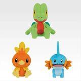 「「一番くじ Pokémon 30th ANNIVERSARY vol.1」5月30日より発売！御三家ぬいぐるみ・約50cmピカチュウなど全11等級【5/8：賞品追記】」の画像8