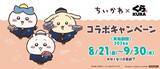「お寿司になったちいかわが可愛すぎ♪『ちいかわ』×くら寿司コラボが8月21日開催！先着100万名様に湯呑み・寿司皿」の画像3
