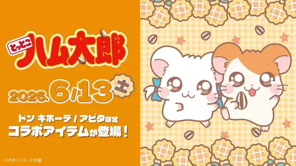 「『とっとこハム太郎』ドン・キホーテ限定グッズが6月13日発売！ぬいぐるみチャーム＆パイル上下セットが登場」の画像