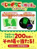 「「じゃがりこ」推し活パッケージ第3弾が2026年5月上旬から発売！「おしかつ」「すきすぎて」など味別8ワード＆フタ6種」の画像12