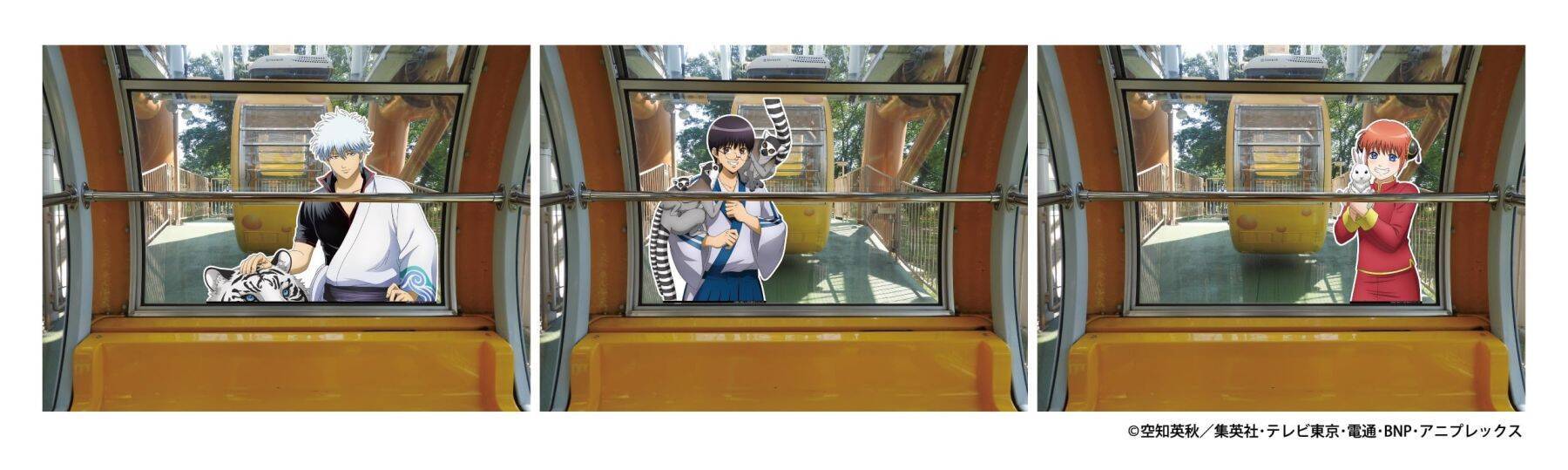 『銀魂』×東武動物公園コラボの詳細公開！描き下ろしグッズ・コラボフード・観覧車ラッピングなど盛りだくさん
