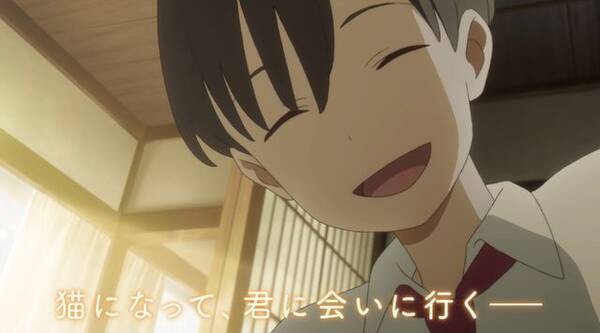 劇場アニメ 泣きたい私は猫をかぶる 主演に志田未来さん 花江夏樹さんが決定 猫になれる少女を描いた青春ファンタジー 年1月28日 エキサイトニュース