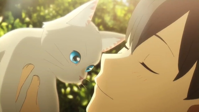 アニメ映画 泣きたい私は猫をかぶる 花江夏樹さん 小野賢章さんらによるオーコメ公開 年7月1日 エキサイトニュース