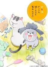 エッセイ漫画「犬と猫どっちも飼ってると毎日たのしい」TVアニメ化決定！キャストは花澤香菜さん＆杉田智和さんら