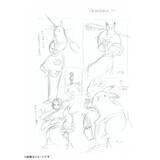 「『鬼灯の冷徹』完結記念豪華原画集セット「地獄玉手箱」予約受付中！画集3冊＆複製原画が化粧箱に収納されたセット」の画像5