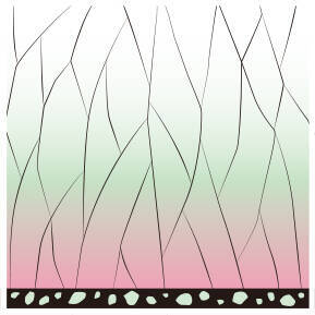 『鬼滅の刃』×「ローソン」キャンペーン開催決定！コラボ食品・グッズほか様々な企画目白押し