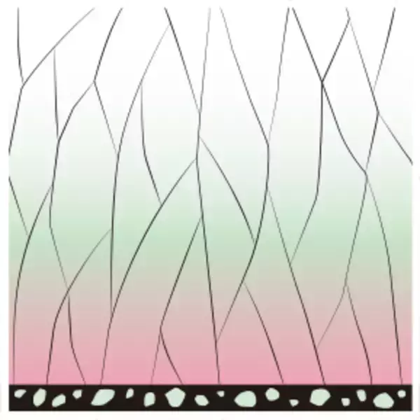 「『鬼滅の刃』×「ローソン」キャンペーン開催決定！コラボ食品・グッズほか様々な企画目白押し」の画像