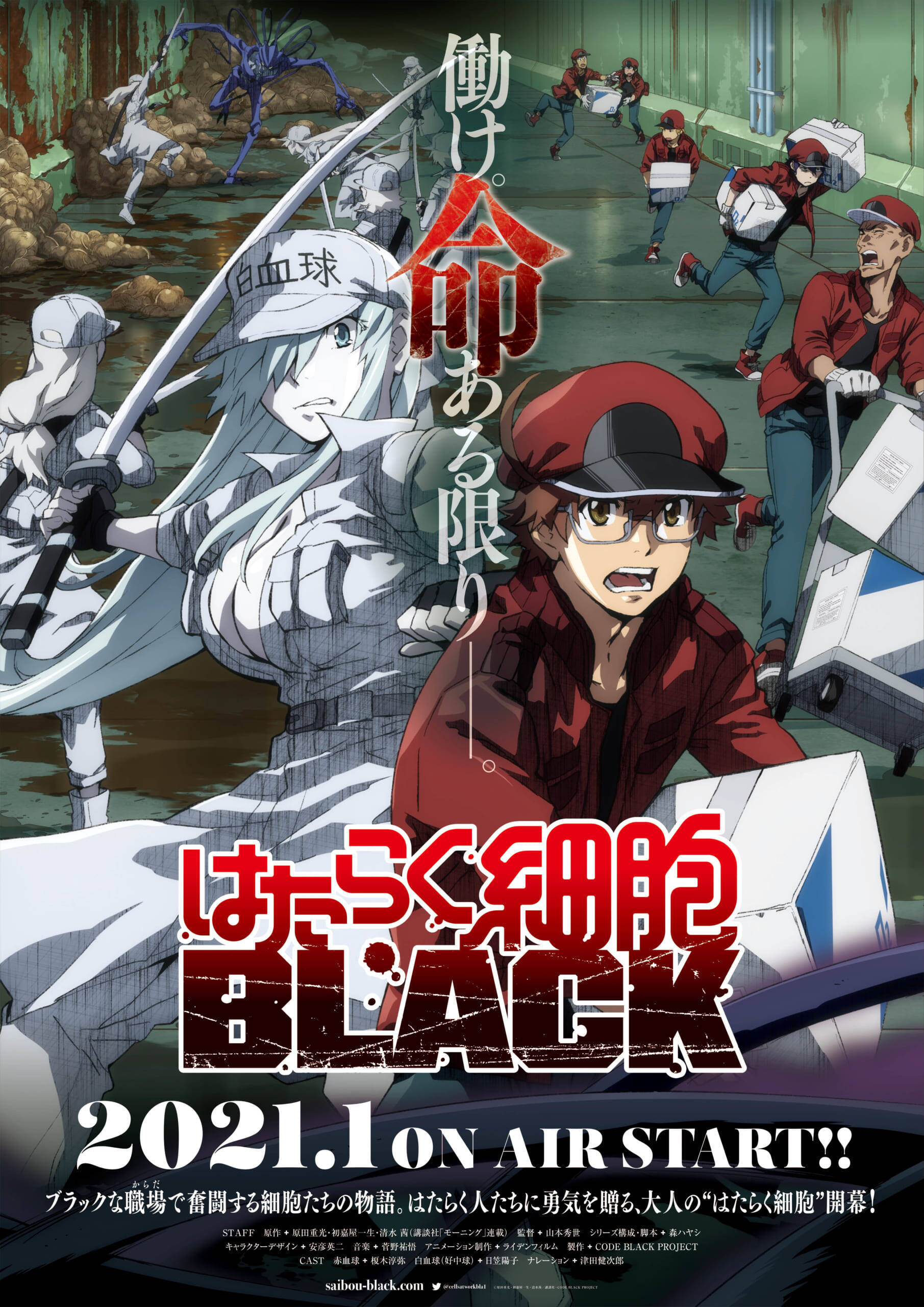 Tvアニメ はたらく細胞black Pv キャストコメント公開 Blackな体内環境で働く赤血球や白血球の姿を収録 年9月7日 エキサイトニュース