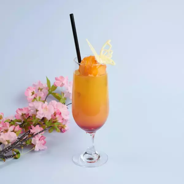 「『薬屋のひとりごと』× and GALLERYコラボカフェが4月4日より全国4都市で開催決定！猫猫と壬氏が花に囲まれた美しいビジュアル公開」の画像