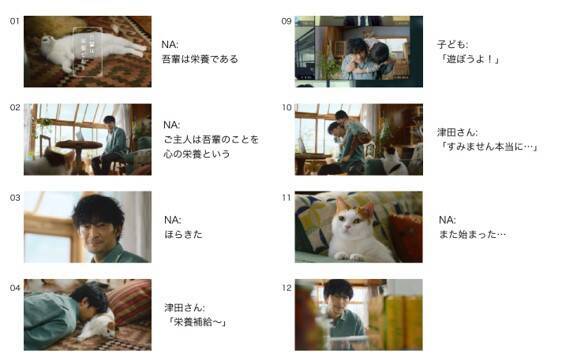 津田健次郎さんが「カロリーメイト」CMで主演！井上和彦さん演じるニャンコ先生すぎな猫も必見