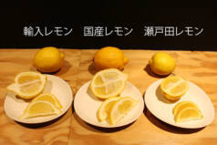 悶絶のレモン食べ比べ レモンの種類でレモンサワーの味は変わるのか検証してみた 19年4月15日 エキサイトニュース