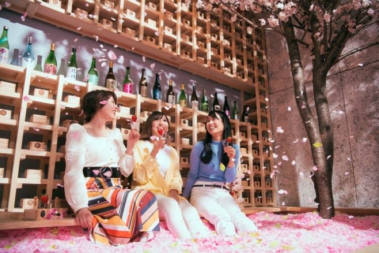 人気の 屋内花見 イベント Sakura Chill Bar By 佐賀 が渋谷で5日間限定開催 年2月日 エキサイトニュース