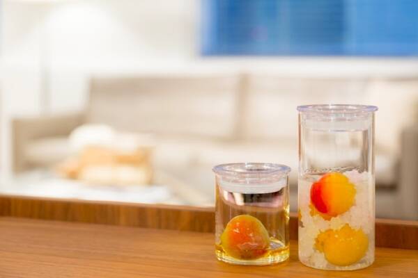 自宅でオリジナル梅シロップ 梅酒作り 蝶矢梅キット の販売期間延長 年5月7日 エキサイトニュース