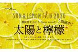 「レモンサワー好き必見！「AKASAKA good 2020 SUMMER –太陽と檸檬」開催」の画像1