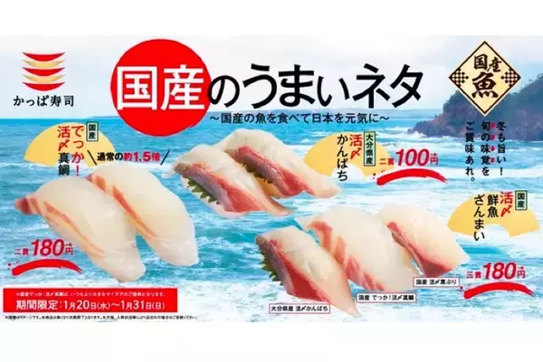 「デカイ・旨い・安い！かっぱ寿司にて「国産のうまいネタ」第四弾登場」の画像