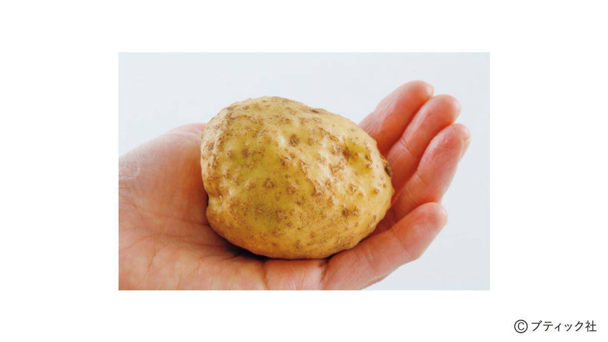 野菜づくりのプロが答える！春のジャガイモづくり相談所