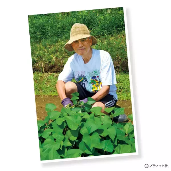 「育苗にチャレンジ！「サツマイモの苗をつくりたい」」の画像