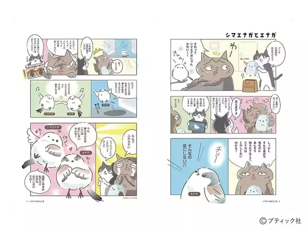 「心が軽くなる シマエナガのことば」（本の紹介）