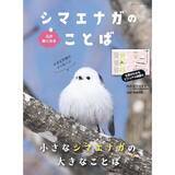 「「心が軽くなる シマエナガのことば」（本の紹介）」の画像5