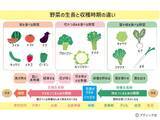 「「おいしい野菜をつくる11か条」から2つを解説！」の画像2