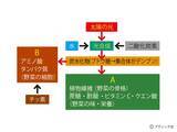 「「おいしい野菜をつくる11か条」から2つを解説！」の画像4