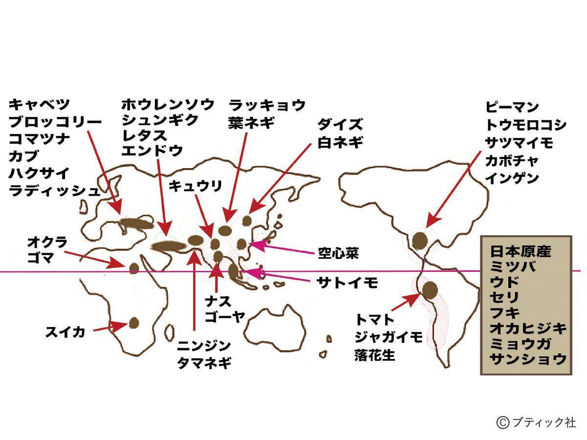「おいしい野菜をつくる11か条」から2つを解説！