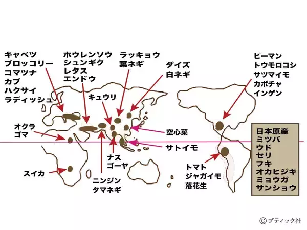 「「おいしい野菜をつくる11か条」から2つを解説！」の画像