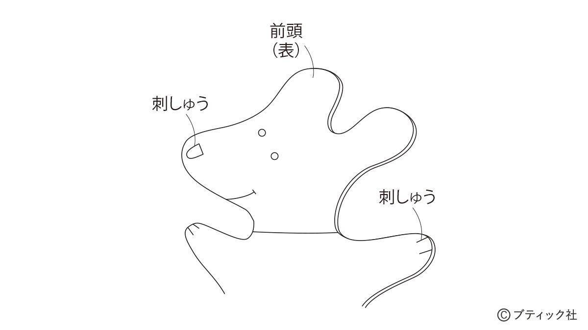 海外風ぬいぐるみ「白いイヌ」の作り方