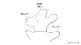 「海外風ぬいぐるみ「白いイヌ」の作り方」の画像8