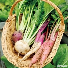 土のちからで育てる無肥料自然栽培スタートアップQ&A