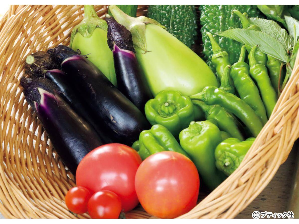 土のちからで育てる無肥料自然栽培スタートアップQ&A