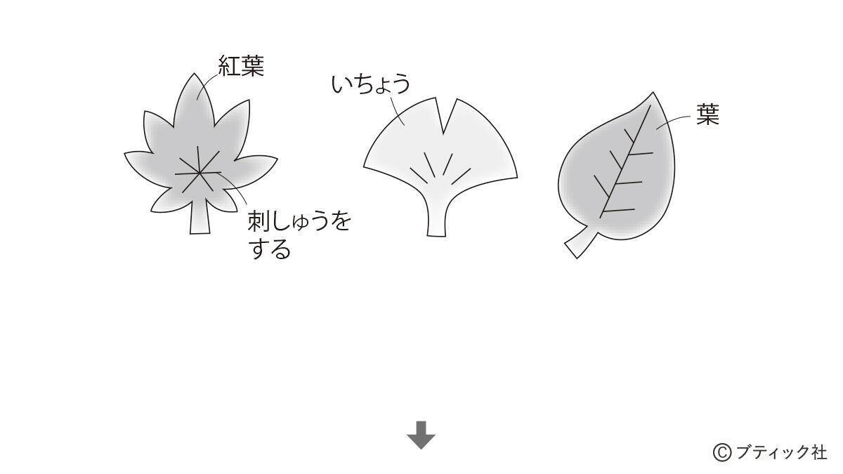 「実りの秋の1本飾り」の作り方
