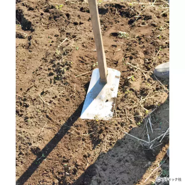 「発芽がよくそろう、タネまきの基本とは」の画像