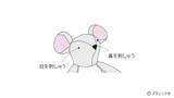 「海外風ぬいぐるみ「ネズミ」の作り方」の画像25