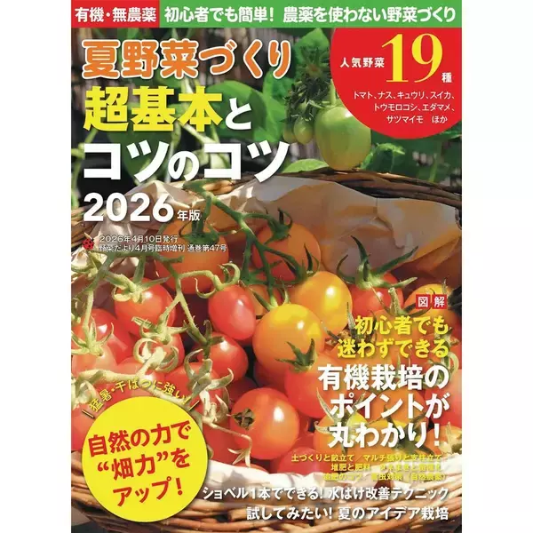 「「モロヘイヤ」の育て方・コツ（家庭菜園）」の画像